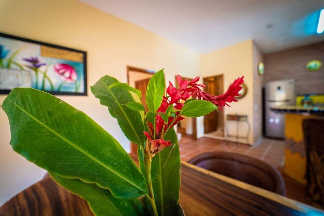 Casa Palmito Cerca De La Playa Yelapa Exterior foto